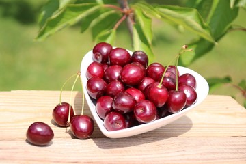 kirschen   kirschbaum