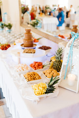 chocolate fountain with fruits