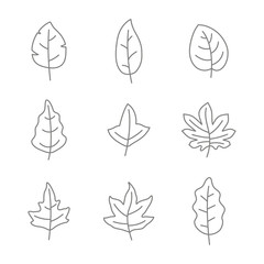 Set of monochrome icons with leaves for your design
