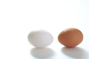 Egg image Shot