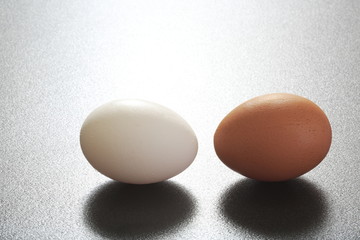 Egg image Shot