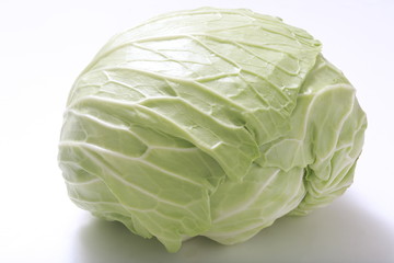 Obraz premium Cabbage image Shot