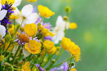 Bouquet of wild beautiful flowers