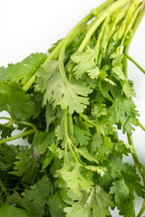 fresh coriander leaves over white background