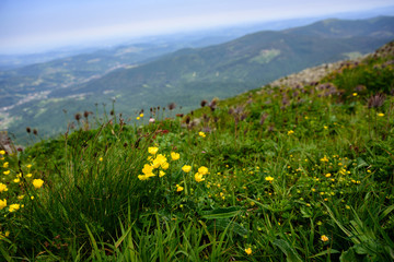 Mountain landscape in Tatra , Poland