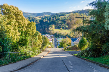 Fototapeta premium Baldwin Street which is located in Dunedin,New Zealand is the world steepest street in the world.