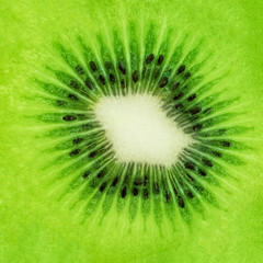 Kiwi Fruit Texture or  background, macro shot. Fresh Green  Kiwi - perfect for product design .