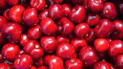 beautiful shiny red cherries