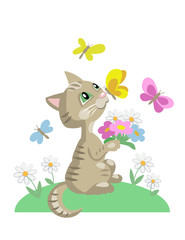Kitten with chamomiles and butterflies. Vector cartoon illustration isolated on white.