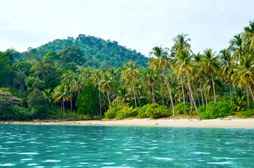 Tropical sandy beach with palm trees and tropical forest. Shooting from the sea. Thailand, Koh Chang Island,