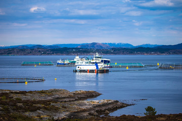 Salmon fish farm in fjord. Norway, Bergen.
