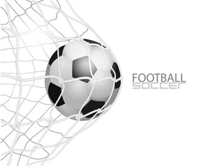 Soccer ball in net. isolated on white background, vector illustration