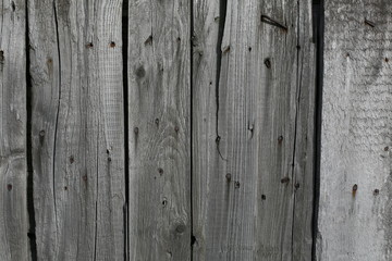 wood texture panel 