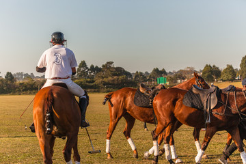 Polo Rider Changes Horse Game Action