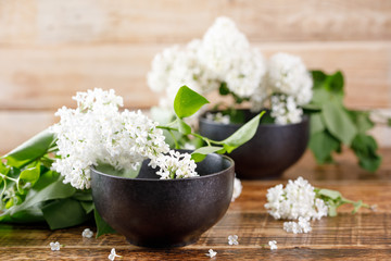 White lilac flowers in exquisite ceramic cups.