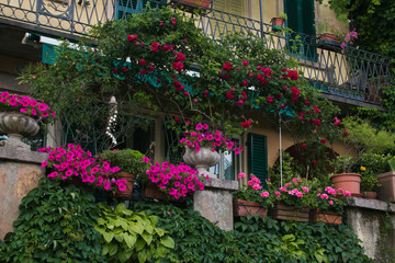 Balconi fioriti nella splendida isola dei Pescatori nel lago Maggiore, Piemonte