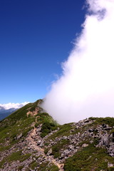 山から湧く雲