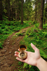 Female hand holding compass