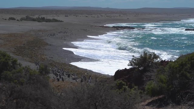 Puerto Madryn Pinguins on the Beach and beautiful landscapes of Argentina