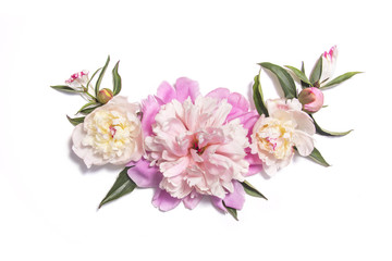 Fototapeta premium Floral composition with pink peony flowers on white