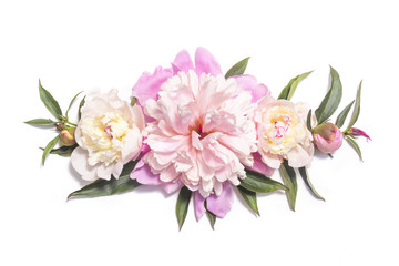 Floral composition with pink peony flowers on white