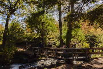 Hiking into the woods