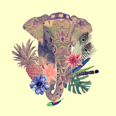 Watercolor illustration of indian elepahnt with leaves, flowers, feathers.
