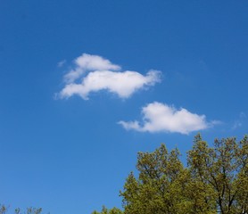 The two white clouds in the bright blue sky.