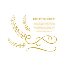 Vector Wheat Logo, Golden Calligraphic Frame Template, Text Sample.