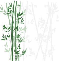 Vector Bamboo Forest Background, Flat Design Template.