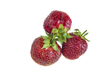 Three delicious organic strawberries isolated on a white background