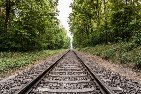 Zentralperspektive auf Eisenbahngleise, die durch einen gr&uuml;nen Wald f&uuml;hren