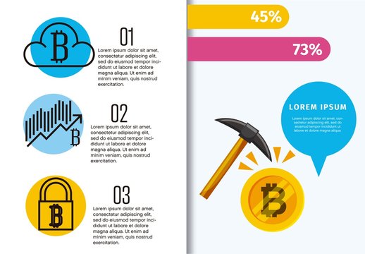 Bitcoin Infographic Layout