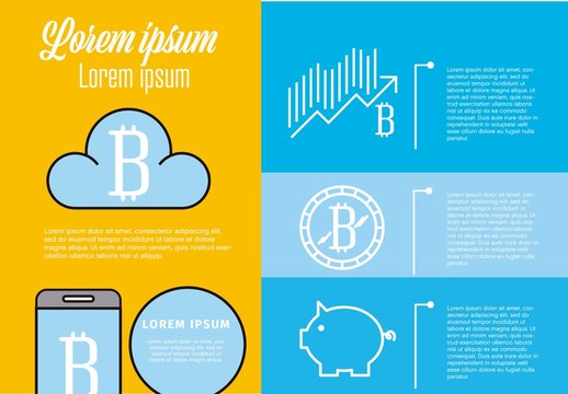 Bitcoin Infographic Layout