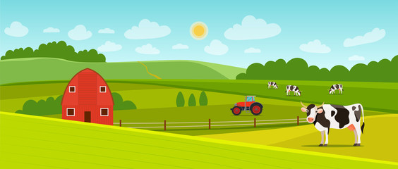 Summer landscape with farmhouse,  tractor and herd of cows on the field. Vector flat style illustration