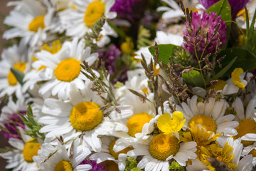 The meadow flowers have been awaiting the summer solstice festival.