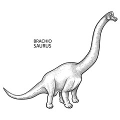 Realistic graphic dinosaur