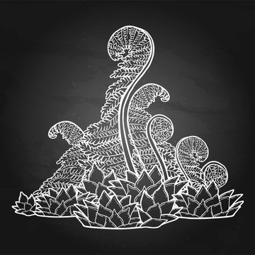 Graphic prehistoric plants