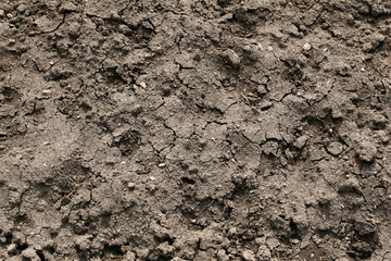 Closeup of dry cracked soil
