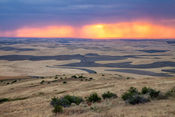 A view of the Palouse from the top of Steptoe Butte in eastern Washington, USA