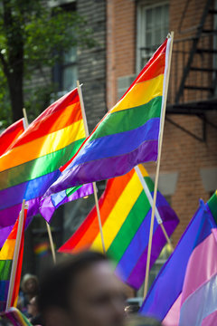 Rainbow flags flying in bright sun on the sidelines of a colorful summer gay pride parade