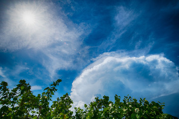 Storm and rain clouds with mangrove trees in the Florida Keys near Key Largo Florida