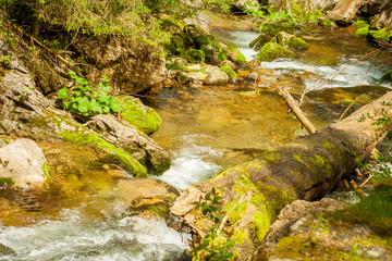 Close up photo of a fresh clean waterfall surrounded by green moss covered rocks