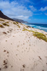 Sandy dunes with some desert plants in stunning desolate landscape of atlantic coastline. Baia Das Gatas, North of Calhau, Sao Vicente Island Cape Verde
