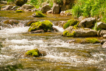 Naklejka na ściany i meble Close up of a stream with clean water and green stone