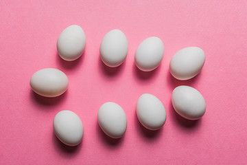 Organic white eggs on pastel backgound.