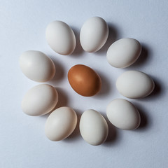 Organic white eggs on white backgound.