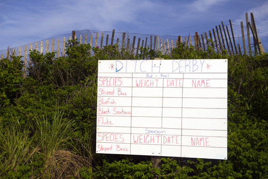 Fishing Contest Sign Montauk New York