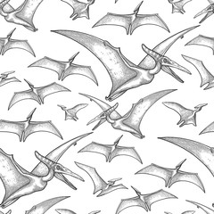 Realistic graphic dinosaurs © Ekaterina Glazkova