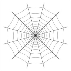 Obraz premium Spider web back